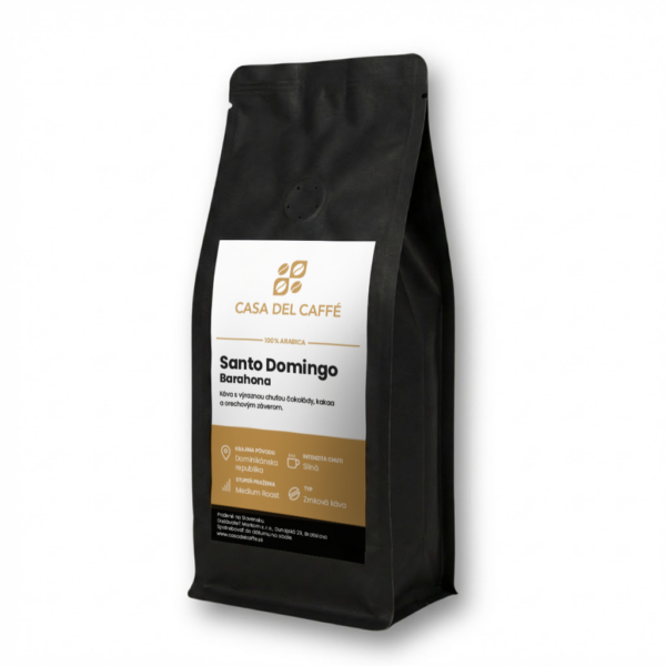 santo domingo barahona