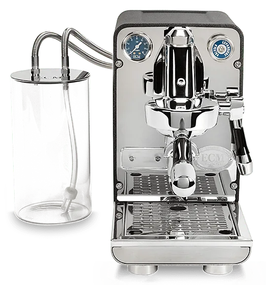 ecm puristika